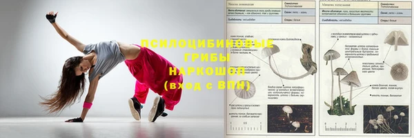 амф Майский