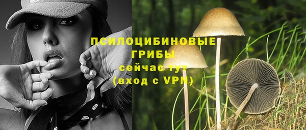 амф Майский